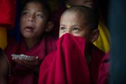 Молодые монахи слушают учения Его Святейшества Далай-ламы в монастыре Тхарпа Чолинг в Калимпонге, Индия. 13 декабря 2010.Фото: Тензин Чойджор (Офис ЕСДЛ)