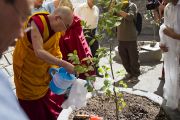 Его Святейшество Далай-лама сажает деревце во время церемонии освящения здания секретариата Кашага (кабинета министров) Центральной тибетской администрации. Дхарамсала, Индия. 2 июня 2011. Фото: Тензин Чойджор, ОЕСДЛ