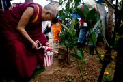 Его Святейшество Далай-лама сажает саженец в парке Бодайдзю (дерева Бодхи). Окинава, Япония. 11 ноября 2012 г. Фото: Office of Tibet Japan
