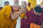 Его Святейшество Далай-лама приветствует одного из старейших монахов в большом молитвенном зале монастыря Дрепунг в Мандгоде. Штат Карнатака, Индия. 29 ноября 2012 г. Фото: Тензин Чойджор (Офис ЕСДЛ)