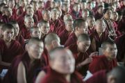 Некоторые из более чем 19 тысяч монахов на учениях Его Святейешства Далай-ламы в монастыре Сера Чже. Билакуппе, штат Карнатака, Индия. 30 декабря 2013 г. Фото: Тензин Чойджор (офис ЕСДЛ)