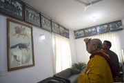 Дээрхийн Гэгээнтэн Далай Лам урд урдийн парламентийн гишүүдийн зургийг сонирхов. Энэтхэг, Дарамсала. 2014.03.11. Зургийг Дэнзэнчойжор (ДЛО)