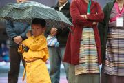 Местные тибетцы собрались в Центральной тибетской школе, чтобы послушать наставления Его Святейшества Далай-ламы. Шимла, штат Химачал Прадеш, Индия. 18 марта 2014 г. Фото: Тензин Чойджор (офис ЕСДЛ)