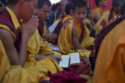Монахи читают молитвы во время молебна о долголетии Его Святейшества Далай-ламы в монастыре Забсанг Чойкорлинг. Чаунтра, штат Химачал-Прадеш, Индия. 28 апреля 2014 г. Фото: Тензин Чойджор (офис ЕСДЛ)
