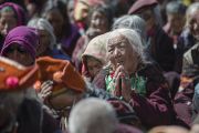 Первый день учений Его Святейшества Далай-ламы в Падуме. Занскар, штат Джамму и Кашмир, Индия. 23 июня 2014 г. Фото: Тензин Чойджор (Офис ЕСДЛ)