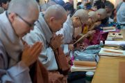 Корейские монахини читают молитвы в начале второго дня трехдневных учений Его Святейшества Далай-ламы. Дхарамсала, Индия. 12 ноября 2014 г. Фото: Тензин Чойджор (офис ЕСДЛ)