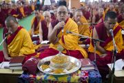 Мастер пения возглавляет чтение молитв в начале второго дня учений Его Святейшества Далай-ламы в монастыре Ганден Джангце. Мундгод, Индия. 24 декабря 2014 г. Фото: Тензин Чойджор (офис ЕСДЛ)