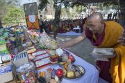 Подношения, приготовленные для молебна у ступы в Санкисе, которые возглавил Его Святейшество Далай-лама. Штат Уттар-Прадеш, Индия. 30 января 2015 г. Фото: Тензин Чойджор (офис ЕСДЛ)