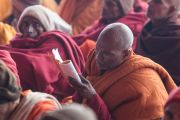 Один их слушателей учений Его Святейшества Далай-ламы в Молодежном буддийском обществе следит по тексту за комментариями Его Святейшества. Санкиса, штат Уттар-Прадеш, Индия. 1 февраля 2015 г. Фото: Тензин Чойджор (офис ЕСДЛ)