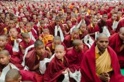 Монахи и монахини с хадаками встречают Его Святейшество Далай-ламу в монастыре Палпунг Шераблинг. Верхний Бхатту, штат Химачал-Прадеш, Индия. 11 марта 2015 г. Фото: Тензин Чойджор (офис ЕСДЛ)