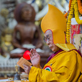 Молебен о долголетии Далай-ламы и посвящение долгой жизни в Дхарамсале