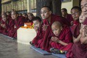 Монахи ожидают прибытия Его Святейшества Далай-ламы в храм Тхекчен Чолинг. Дхарамсала, Индия. 3 ноября 2015 г. Фото: Тензин Чойджор (офис ЕСДЛ)