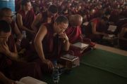 Некоторые из более 22 тысяч монахов и монахинь на учениях Его Святейшества Далай-ламы по 18 коренным текстам и комментариям традиции Ламрим в монастыре Ташилунпо. Билакуппе, штат Карнатака, Индия. 23 декабря 2015 г. Фото: Тензин Чойджор (офис ЕСДЛ)