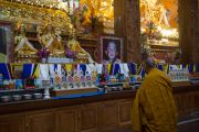 Его Святейшество Далай-лама перед алтарем в монастыре Ташилунпо. Билакуппе, штат Карнатака, Индия. 28 декабря 2015 г. Фото: Тензин Чойджор (офис ЕСДЛ)