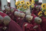Некоторые из более 3000 монахов, принимающих участие в четырехдневной церемонии дарования Его Святейшеством Далай-ламой полных монашеских обетов в храме Дрепунг Лачи. Мундгод, штат Карнатака, Индия. 3 июля 2016 г. Фото: Тензин Чойджор (офис ЕСДЛ)