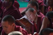 Юный монах читает текст во время первого дня учений Его Святейшества Далай-ламы, предваряющих посвящение Калачакры. Бодхгая, штат Бихар, Индия. 5 января 2017 г. Фото: Тензин Чойджор (офис ЕСДЛ)
