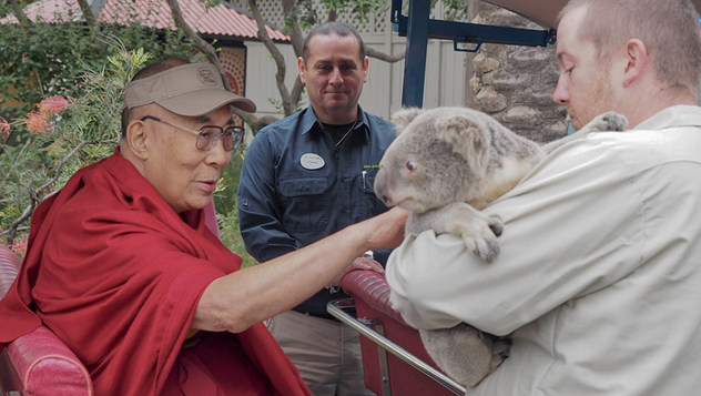 Его Святейшество посетил зоопарк Сан-Диего и встретился с индийцами и тибетцами