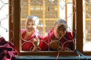 Юные монахи заглядывают в окно в надежде хоть краешком глаза увидеть Его Святейшество Далай-ламу во время учений в монастыре Ганден Лачи. Мундгод, штат Карнатака, Индия. 17 декабря 2017 г. Фото: Лобсанг Церинг.