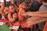 Монахи раздают собравшимся стебли травы куша во время предварительных ритуалов, необходимых для посвящений, которые будет даровать Его Святейшество Далай-лама. Бодхгая, штат Бихар, Индия. 18 января 2018 г. Фото: Мануэль Бауэр.